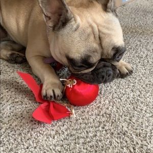 Meet your Posher, Audrey